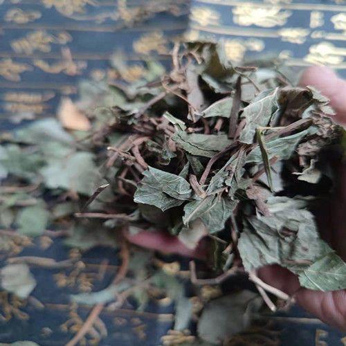Ai Di Cha Dried Herb 1000g Ardisia japonica Whole Herb for Traditional Decoctions key features