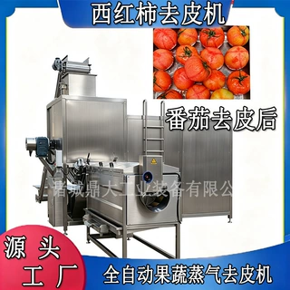 果蔬罐头蒸汽去皮机 西红柿番茄脱皮机器 番茄酱加工厂热脱皮设备