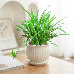 ��߅���m�մ����҃�ֲ�����Դ�������ˮ��Gֲ�͏d�̨�����h��