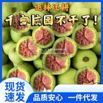 三棱青皮四棱包可能纹大青皮文玩核桃官帽麒麟出赌邮四座楼狮子头