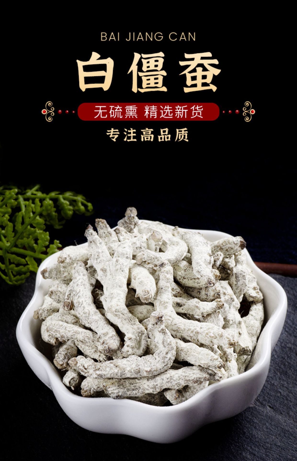 White Silkworm Jiang Can 500g Dried Bombyx Batryticatus Traditional Chinese Herb for Decoction and External Use overview