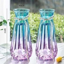 绿植玻璃瓶大号玻璃花瓶透明水培养富贵竹客厅插花欧式花瓶摆件