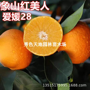 �㽭�t���ː���28̖���٘�������Ҋ���ӹ����Ș���̽۹��������