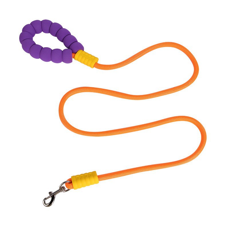 Laisse réfléchissante pour animaux de compagnie avec poignée en mousse pour chiens moyens à grands. Ceinture de sécurité décontractée en nylon avec motif imprimé._voghion.com