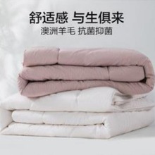 加厚冬被100%纯羊毛被子单双人全棉羊毛保暖被褥冬季羊绒被芯