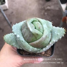 Ԫ���G������Ʒ�N������ֲ��Ԫ����ϡ�����˽�Ԫ�J�C������