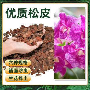 �S�� �m�����������������mī�m͸�������ɘ�Ƥֲ��ʯ�^����ֲ��