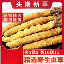 20�خaҰ���x���^�ڶY�и��η��r�����������ຣ���