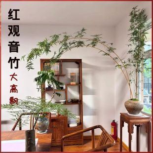 �t�^�����h֦�҃����՚�����^��������Ժ��B�׻��ļ�