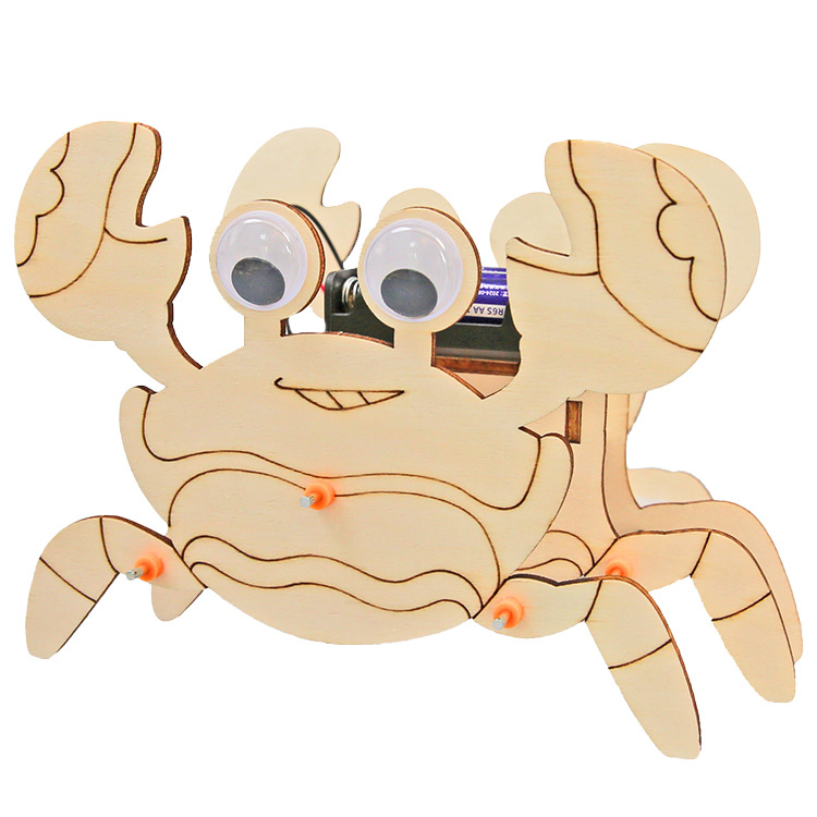 Los niños de Ciencia y Tecnología pequeña producción material didáctico kindergarten hecho a mano DIY experimento científico estudiante regalo juguetes al por mayor