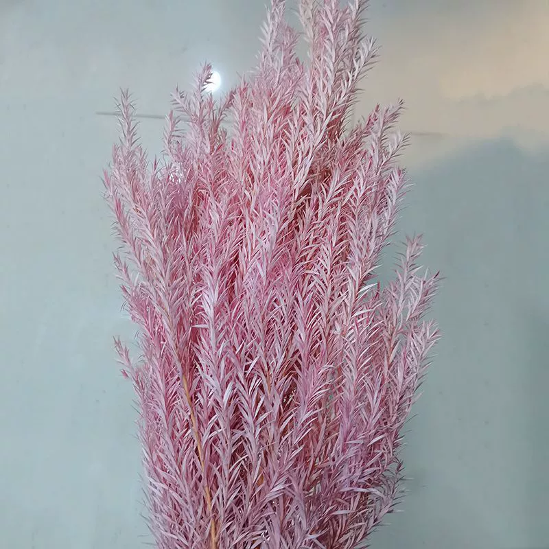 Eternal Life Ritter Thousand -layer Golden Flower Flower Eternal Leaf Material Bouncing Flower Insert Decoration Decoration Materials