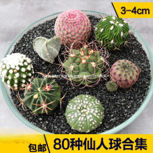 ����������ϼ��Ƕ��M���ײ��[�P�����ֲ�����������Է�ݗ���S��