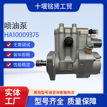 �|�����L�߉��ͱ�HA10009375�m���r�I�Cе녃Ȱl�әCYN4E-110166