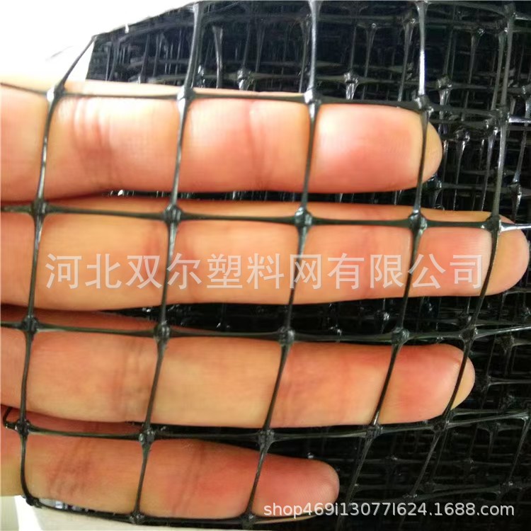 厂家定制蔬菜果园防鸟网聚丙烯双向拉伸塑料网