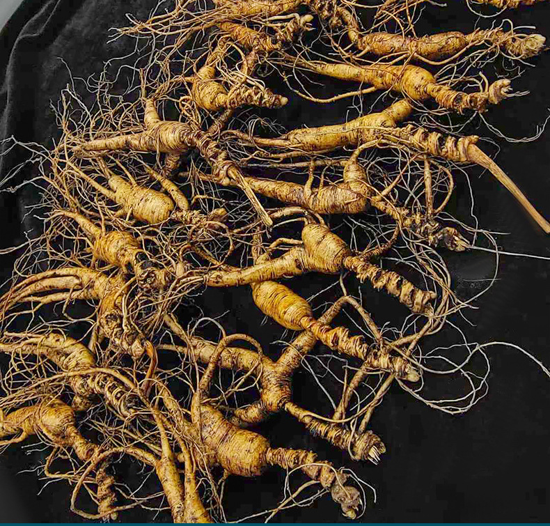 Changbai Mountain Wild-Simulated Ginseng Sun-Dried Whole Roots Gift Box 5 Roots for Soup and Wine key features