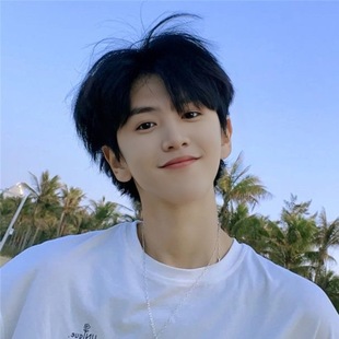 Foreign trade supply wig men's Korean version of fluffy bangs handsome short straight hair trim full head in stock direct sales