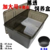 Increase the number of black transparent breeding box+climbing platform