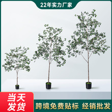 Դ�^���S����Gֲ����Ř�Ҿ��҃ȿ͏d���́����L���Կɿ羳���l