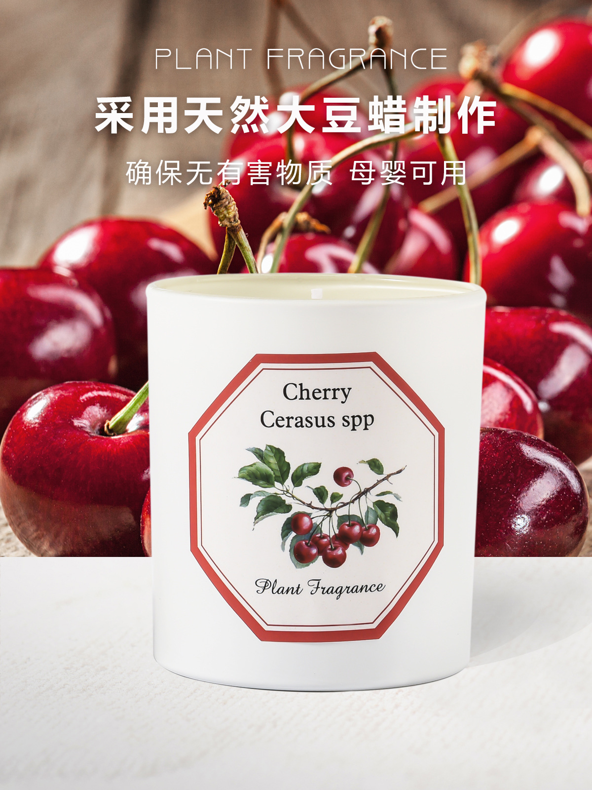 植物学家蜡烛_12