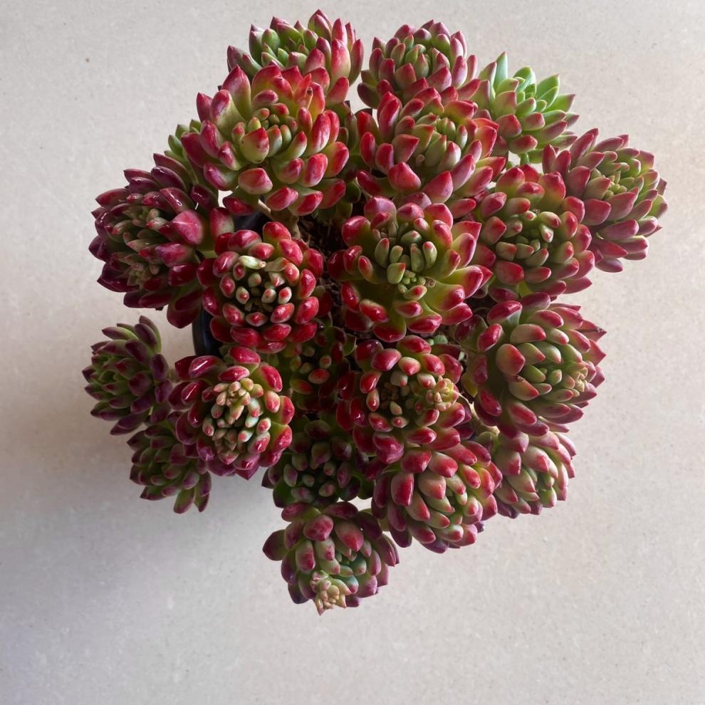 51be8fcd-c273-4528-bf21-a1209f918e22.jpe