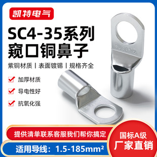 SC Copper Nose 4/6/10/16/25/35/50/70/95 square peep tin-plated wire lug terminal head