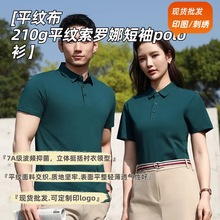 210克平纹索罗娜短袖POLO衫男冰爽凉感弹力新疆棉打底衫定制刺绣