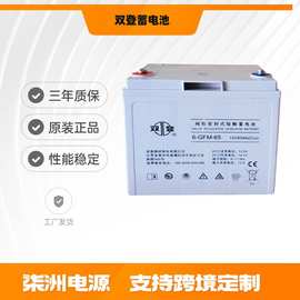 双登蓄电池6-GFM-65 消防设备电池 12v65AH 直流屏 UPS电池