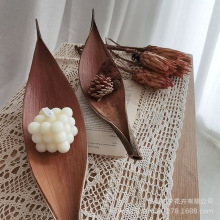 �ɿ��~�M�ڸɹ��ɻ���֦�����b����յ�����Ȼֲ���[������