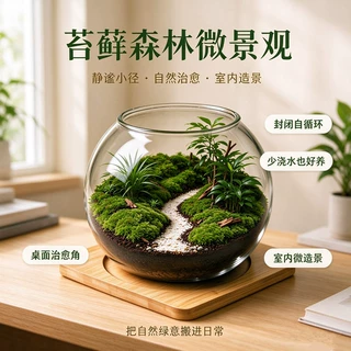 微景观生态瓶迷你鱼缸水培玻璃容器苔藓瓶多肉植物DIY手作景观瓶
