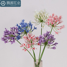 滨 ɏ Ҿӿ͏dƵ깤ܛbWc辰ýٻ