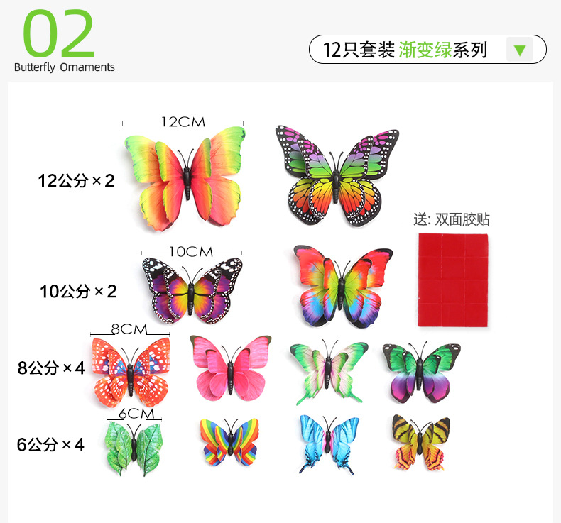 12只彩虹套装蝴蝶详情_10