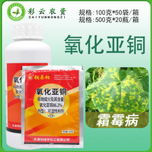 �G�� 86.2%�������~ �ɝ��Էۄ�����˪ù���rș���o�Ԛ�����