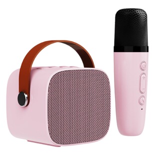 Cross-border Bluetooth audio microphone set karaoke singing machine outdoor karaoke treasure family KTV wireless microphone