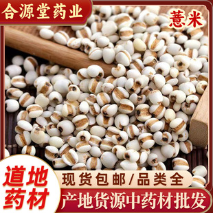 ޲����ș�� ޲���� ޲���� ������ ����s�Z ޲���� ���� ������