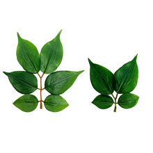 ֲ~٘~Ҿb[٘~SlƬ~