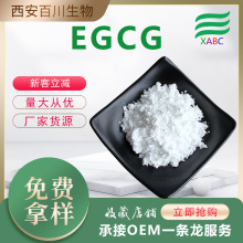 EGCG表没食子儿茶素没食子酸酯100g装绿茶提取物儿茶素 EGC多规格