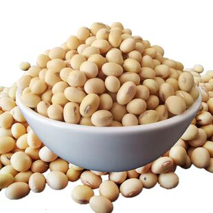 �S�� ������؛�������l�����S�������������{�ɰlѿһ�����l