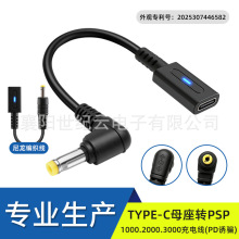 ���Sֱ�N��Ʒ�|  TYPE-Cĸ���DPSP1000.2000.3000�Α�C��늾�