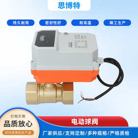 厂家供应电动球阀DN15-DN65电动二通黄铜球阀AC/DC24v AC220