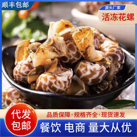 新鲜冷冻花螺鲜活速冻小海螺海捕贝类捞汁花螺原料海鲜水产批发
