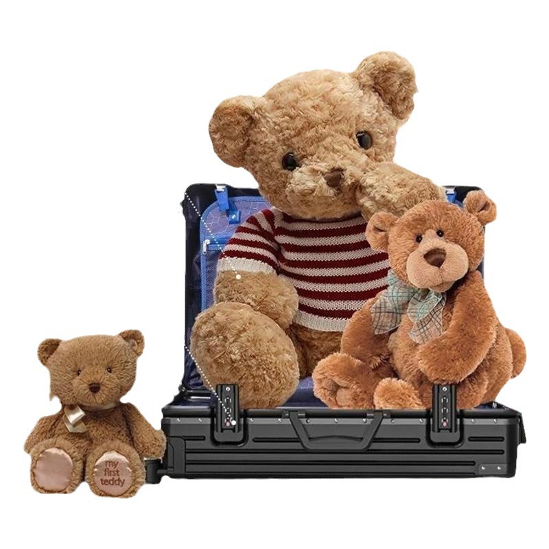 Inswind simple maleta de belleza portátil varilla de tracción universal rueda caja de cifrado maleta de viaje duradero