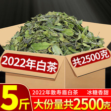 福建新白茶2022年高山寿眉散茶日晒散装批发新高山白茶