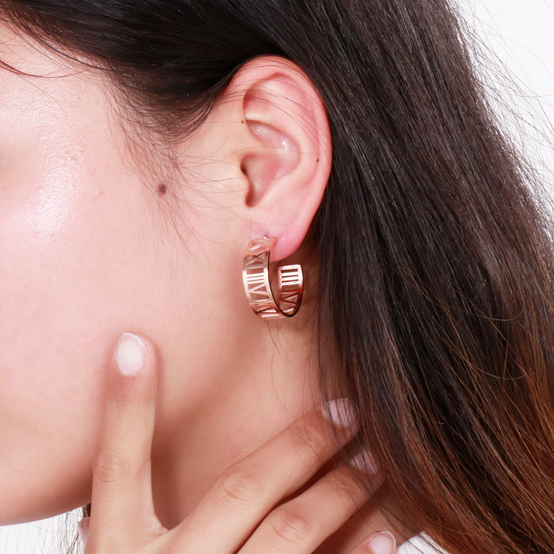 Fashion Roman Letters Hook Shaped Stainless Steel Geometric Female Earrings display picture 1
