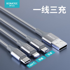 ロマネスクは、3つのデータケーブルを3つずつ充電します。