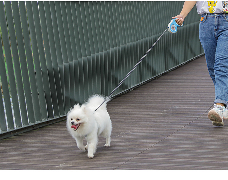Kleine Und Medium-größe Hund Leine Automatische Einziehbare Seil Nylon display picture 2