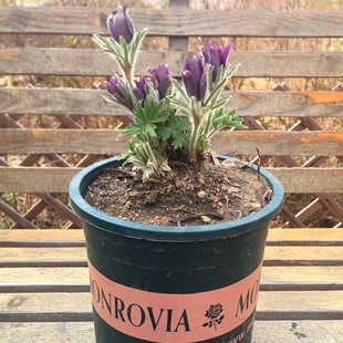 ���^�������箔���_���в�șֲ��ë�ö仨�������N�����滨�ܾGֲ