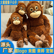 �羳�W�tС���Ӱ��ᱧ���D���޿羳�����ɹ���ë�q����L�ۺ���