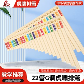 吹奏类乐器;乐器配件;拉弦类乐器