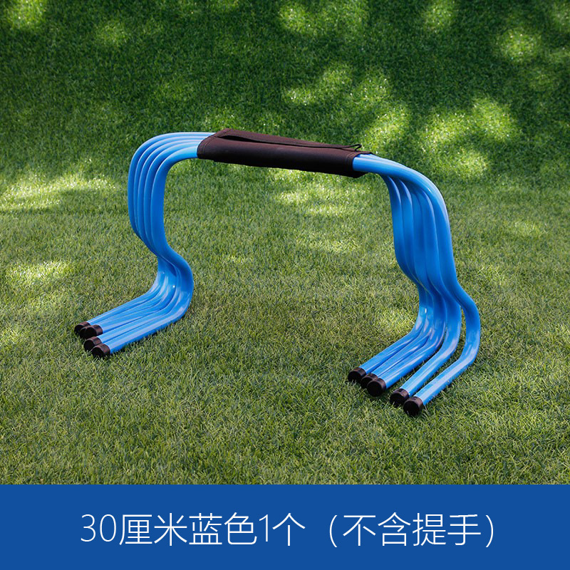 30cm 블루 허들 1