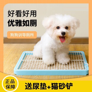 С��Ȯ��Pʺ��R������܌������ɲ�ϴ���й�����ƽ��ʽ̩��